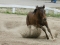 IMG_7296-300x200