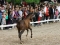 IMG_7321-300x199