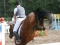 IMG_2627-300x200
