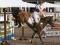 IMG_2673-300x200