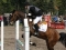 IMG_8133-2-300x200