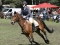 Wahrenholz-16.07.2010-300x199