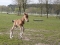 magic-fohli2-04-300x225